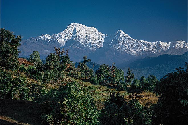 Annapurna Himal from Austrian Camp