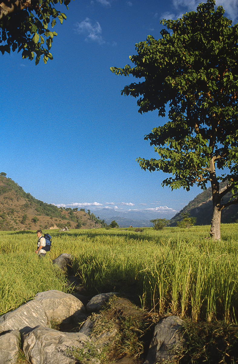 Fields of the Arun Valley Fields of the Arun Valley