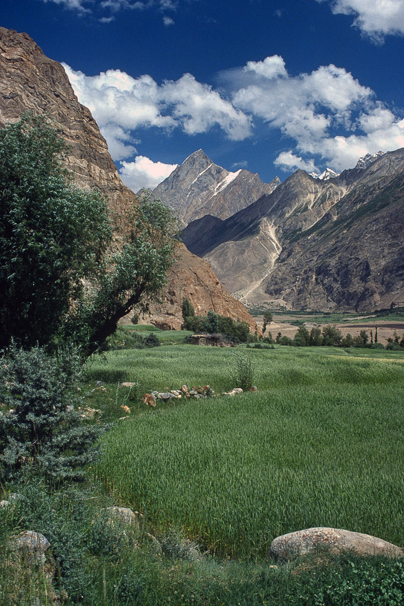 Fields at Askole Village Fields at Askole Village