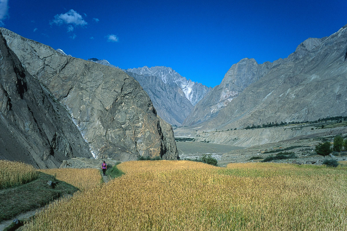 Fields at Askole Fields at Askole
