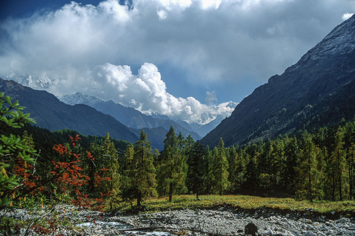 The Chhulung Valley at Guwa Kharka The Chhulung Valley at Guwa Kharka