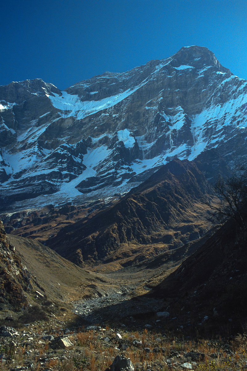 Dhaulagiri from Pakabon Dhaulagiri from Pakabon