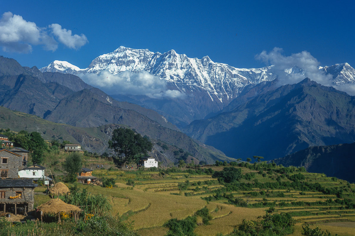 Gurja Himal from Dharapani Gurja Himal from Dharapani