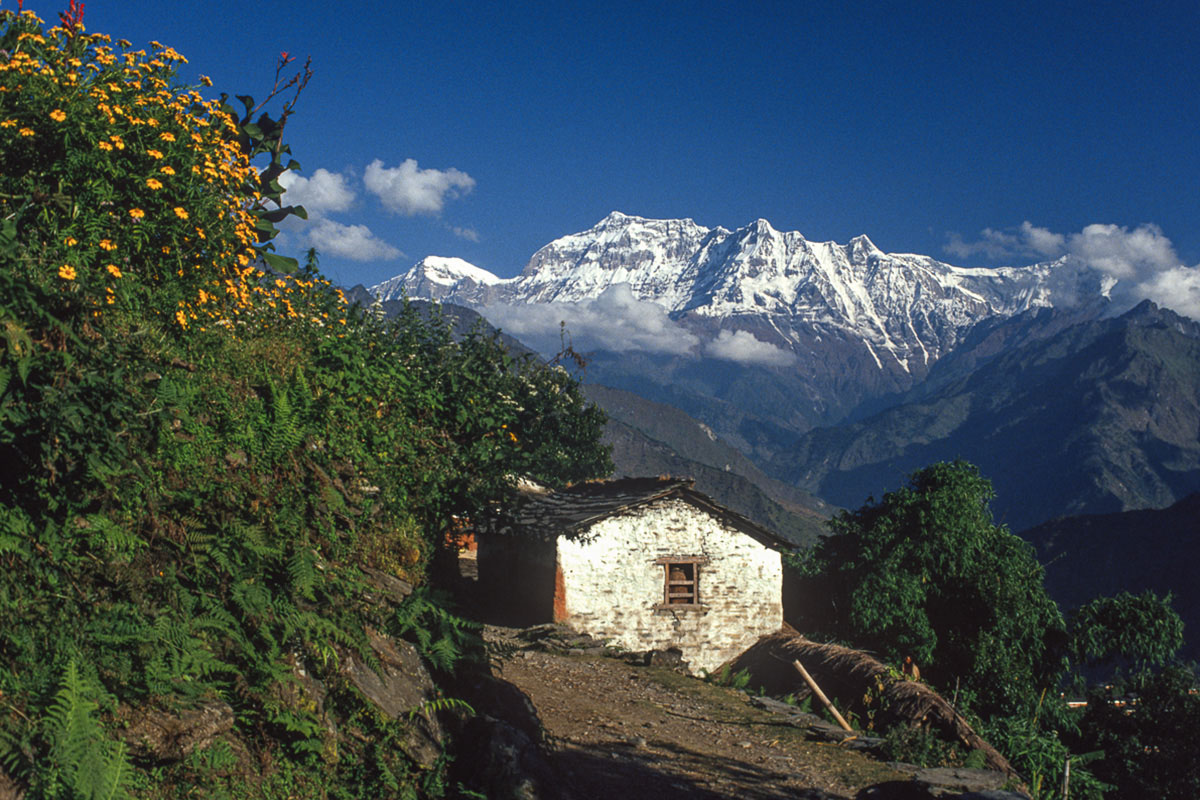 Gurja Himal from Dharapani Gurja Himal from Dharapani