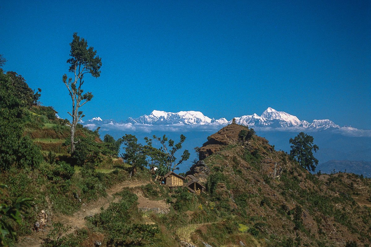 Makalu and Chamlang from Hille Makalu and Chamlang from Hille
