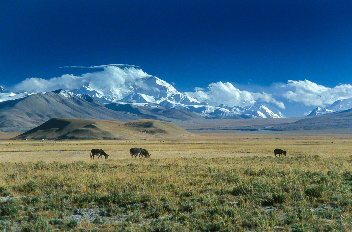 Cho Oyu and the Nangpa La Pass from Tingri Cho Oyu and the Nangpa La Pass from Tingri